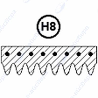Ремень 1213 H8 Merloni 083910 1.11.000.75